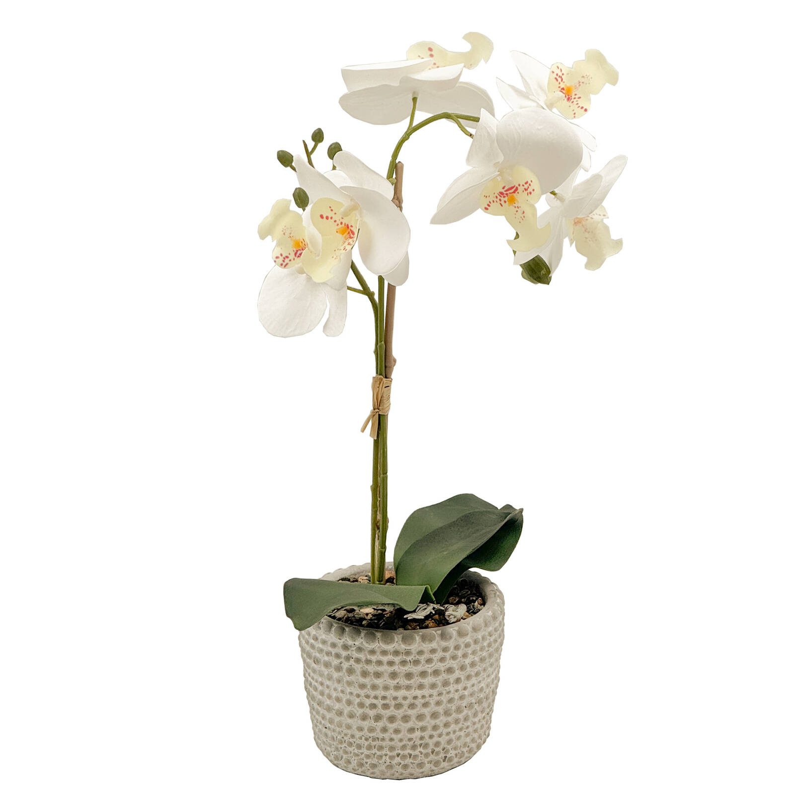 Un-Real 38cm White Artificial Orchid Flowers In Decor Pot - Image 2