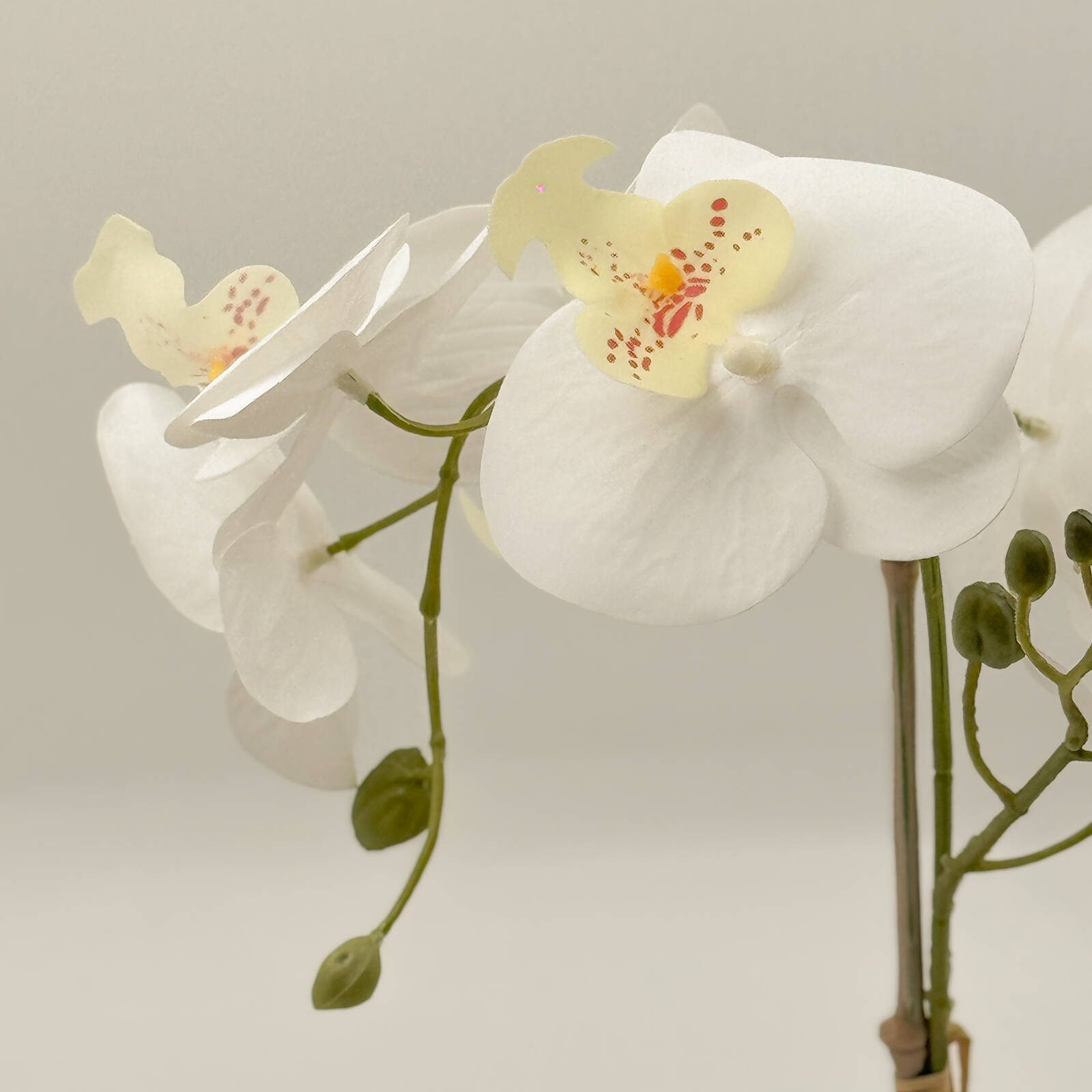 Un-Real 38cm White Artificial Orchid Flowers In Decor Pot - Image 3