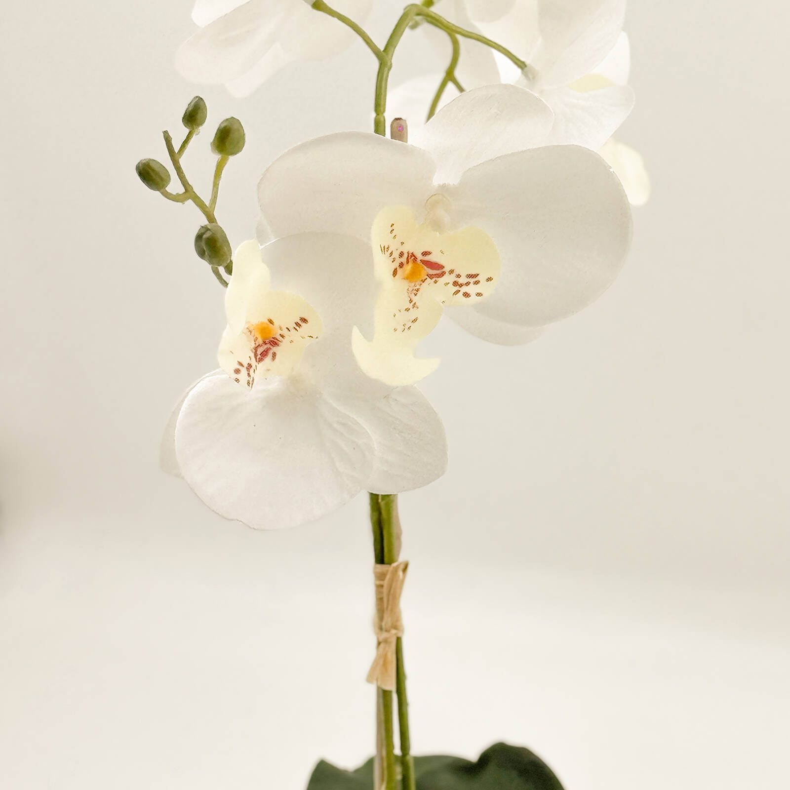 Un-Real 38cm White Artificial Orchid Flowers In Decor Pot - Image 4