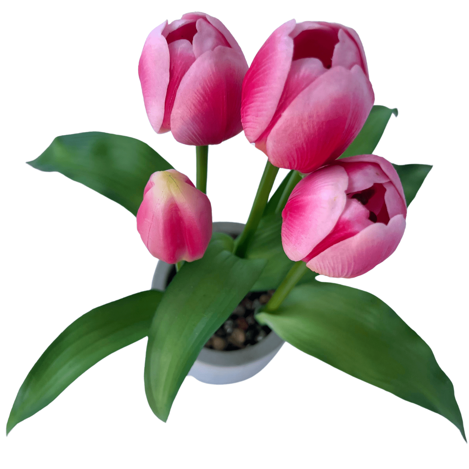 Un-Real 26cm Potted Tulips Artificial Plant - Image 2