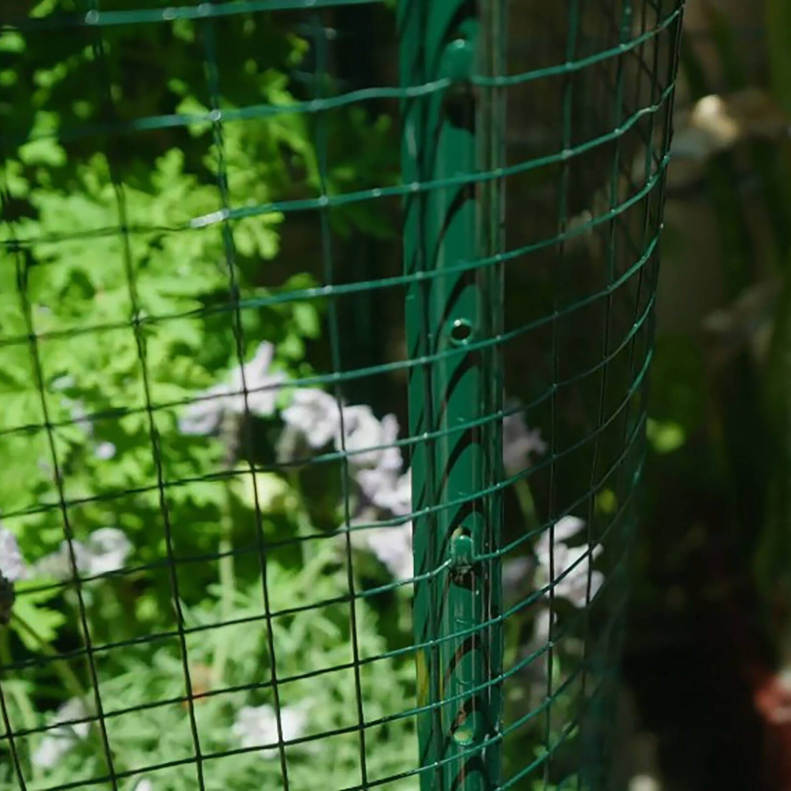 Jack 90cm x 5m x 25 x 25mm Green PVC Coated Yard Mesh - Image 3