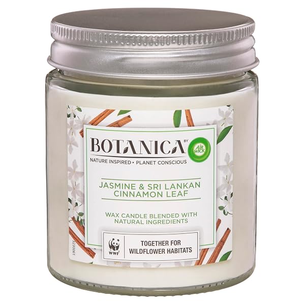 Botanica-by-Air-Wick-Jasmine-and-Sri-Lankan-Cinnamon-Leaf-Candle-205g-B0C49PTKPP