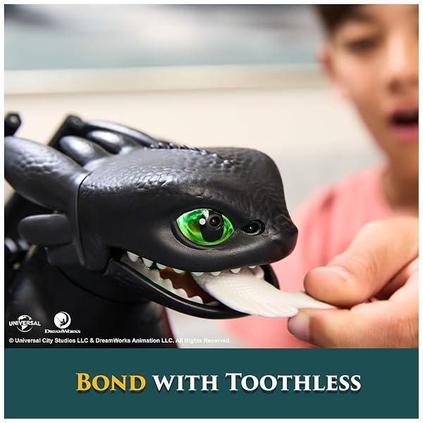 DreamWorks-Dragons-How-to-Train-Your-Dragon-Tame-Train-Interactive-Toothless-Dragon-Toy-with-60-Sounds-Reactions-B0DBLV1MTS-7