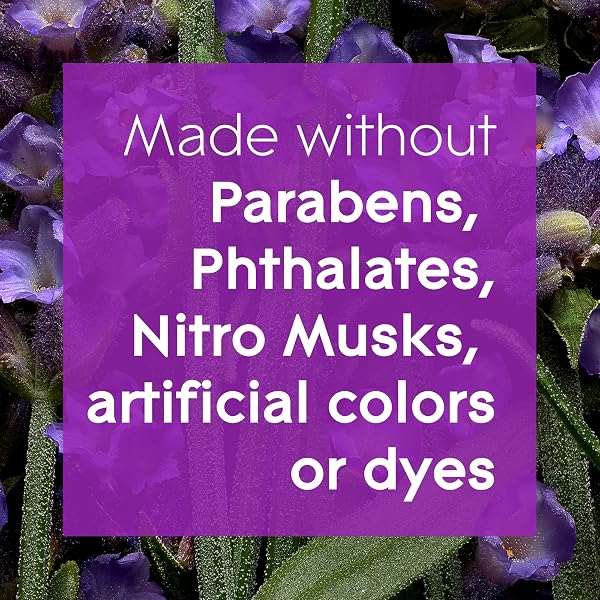 Glade-Aromatherapy-Electric-Scented-Oil-Refill-Infused-with-Essential-Oils-Lavender-and-Sandalwood-Home-Fragrance-20m-B0C2FVF17L-2