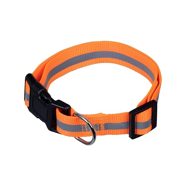 Happy-Tails-Large-Hi-Vis-Dog-Collar-B0DM66ZVF6