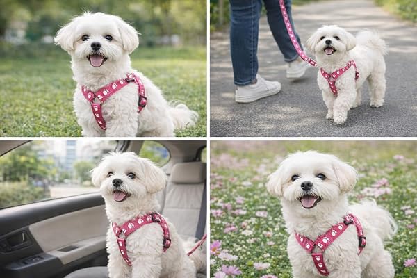 Happy-Tails-Small-Paw-Print-Dog-Harness-Pink-Adjustable-25-40cm-Woven-Polyester-with-Steel-Ring-B0GQBG6BR4-5
