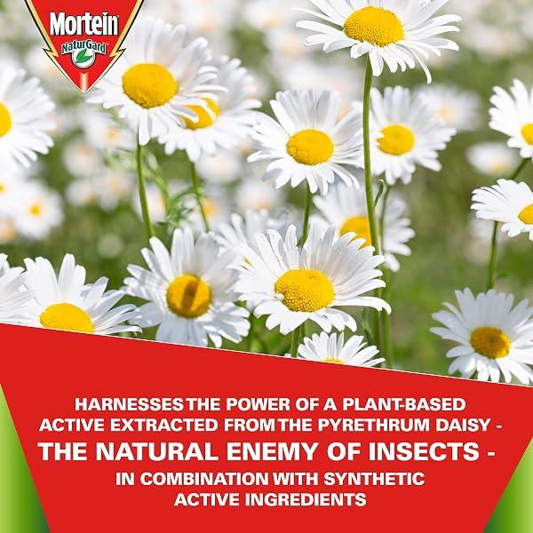 Mortein-NaturGard-Multi-Insect-Automatic-Eucalyptus-Diffuser-Kit-152-g-B09CMWCJBP-7