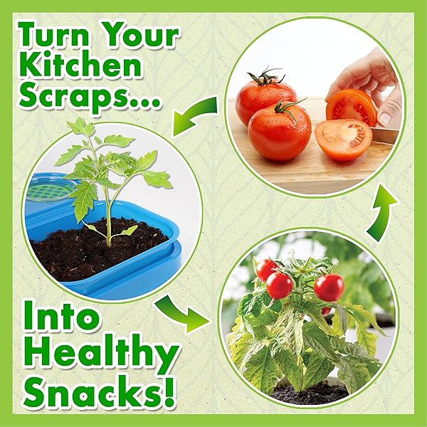 ReGrow-Science-Kit-for-Kids-8-Replant-Simple-Ingredients-to-Generate-New-Plants-15-Experiments-12-Tools-Included-B09HKY763S-2