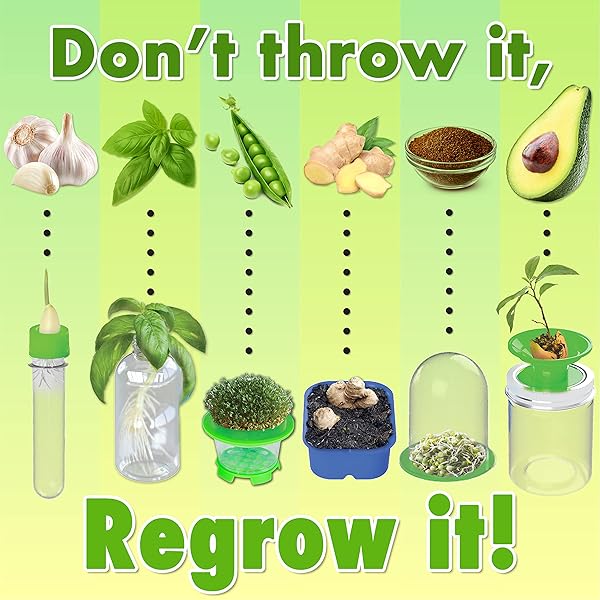 ReGrow-Science-Kit-for-Kids-8-Replant-Simple-Ingredients-to-Generate-New-Plants-15-Experiments-12-Tools-Included-B09HKY763S-3