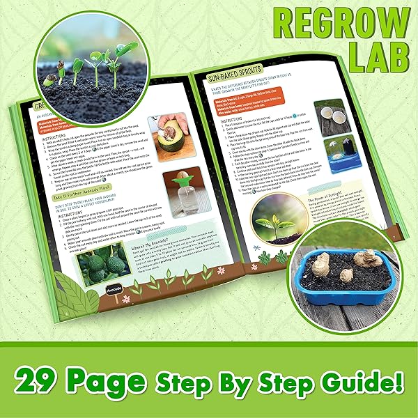 ReGrow-Science-Kit-for-Kids-8-Replant-Simple-Ingredients-to-Generate-New-Plants-15-Experiments-12-Tools-Included-B09HKY763S-4