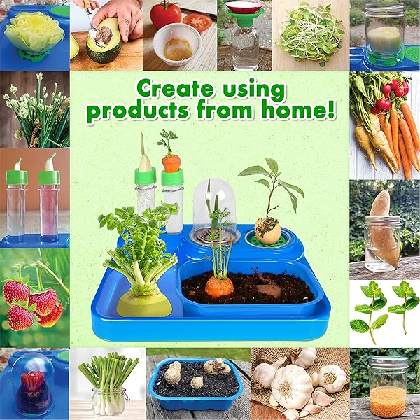 ReGrow-Science-Kit-for-Kids-8-Replant-Simple-Ingredients-to-Generate-New-Plants-15-Experiments-12-Tools-Included-B09HKY763S-5