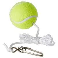 Regent-Spare-Spin-Tennis-Ball-B08WLKXZLC