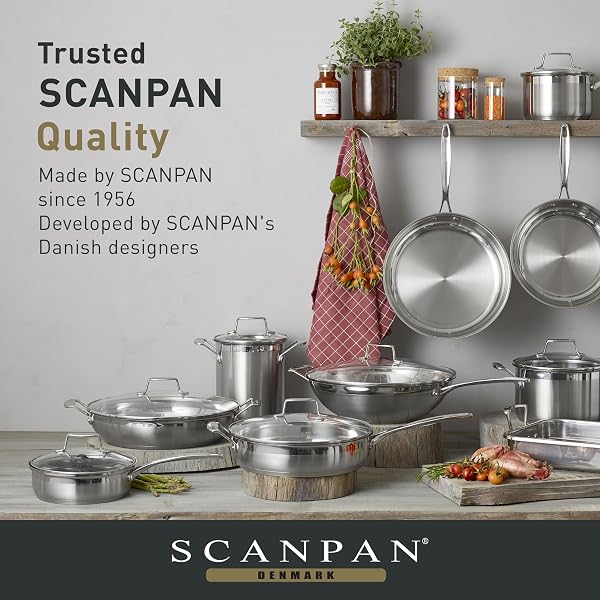 Scanpan-Impact-Fry-Pan-24-cmSilver-B0089WFKTM-8