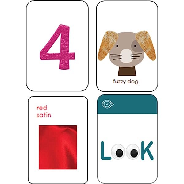 Sense-Grow-Sensory-Flash-Cards-Educational-Flash-Cards-Preschool-Learning-Cards-for-Ages-3-Years-B0C42SYXTX-2