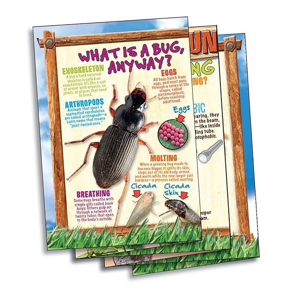 Smartlab-Bug-Playground-Inspect-Inspector-Lab-Ages-7-1603800689-5