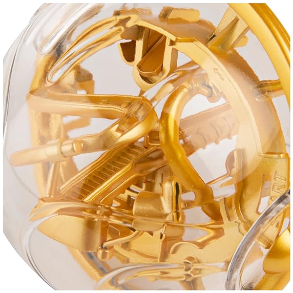 Spin-Master-Games-Harry-Potter-Perplexus-Go-3D-Maze-Game-Puzzle-Maze-Ball-for-Adults-and-Kids-Ages-8-and-up-B08T22CV82-4